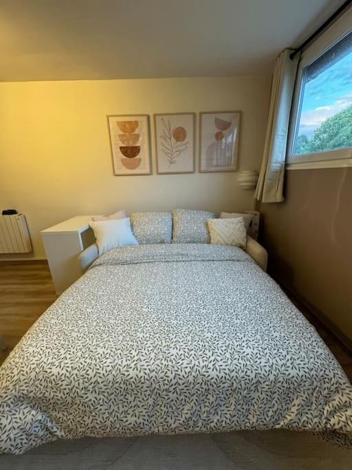 Studio Cosy Au Coeur Du Haut-Jura Foncine-le-Bas Exteriör bild