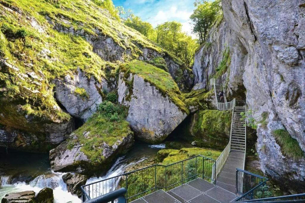 Studio Cosy Au Coeur Du Haut-Jura Foncine-le-Bas Exteriör bild